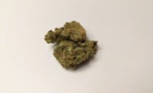 Grapefruit GG1 par Souvenir