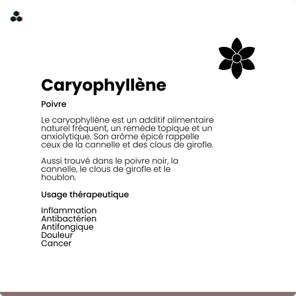 Le terpène du cannabis Caryophyllène