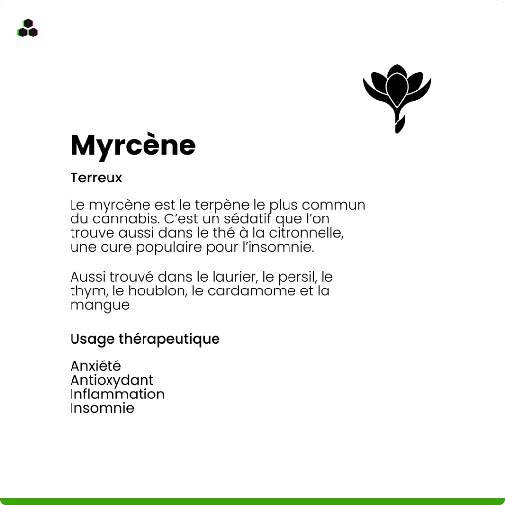 Le terpène du cannabis Myrcène