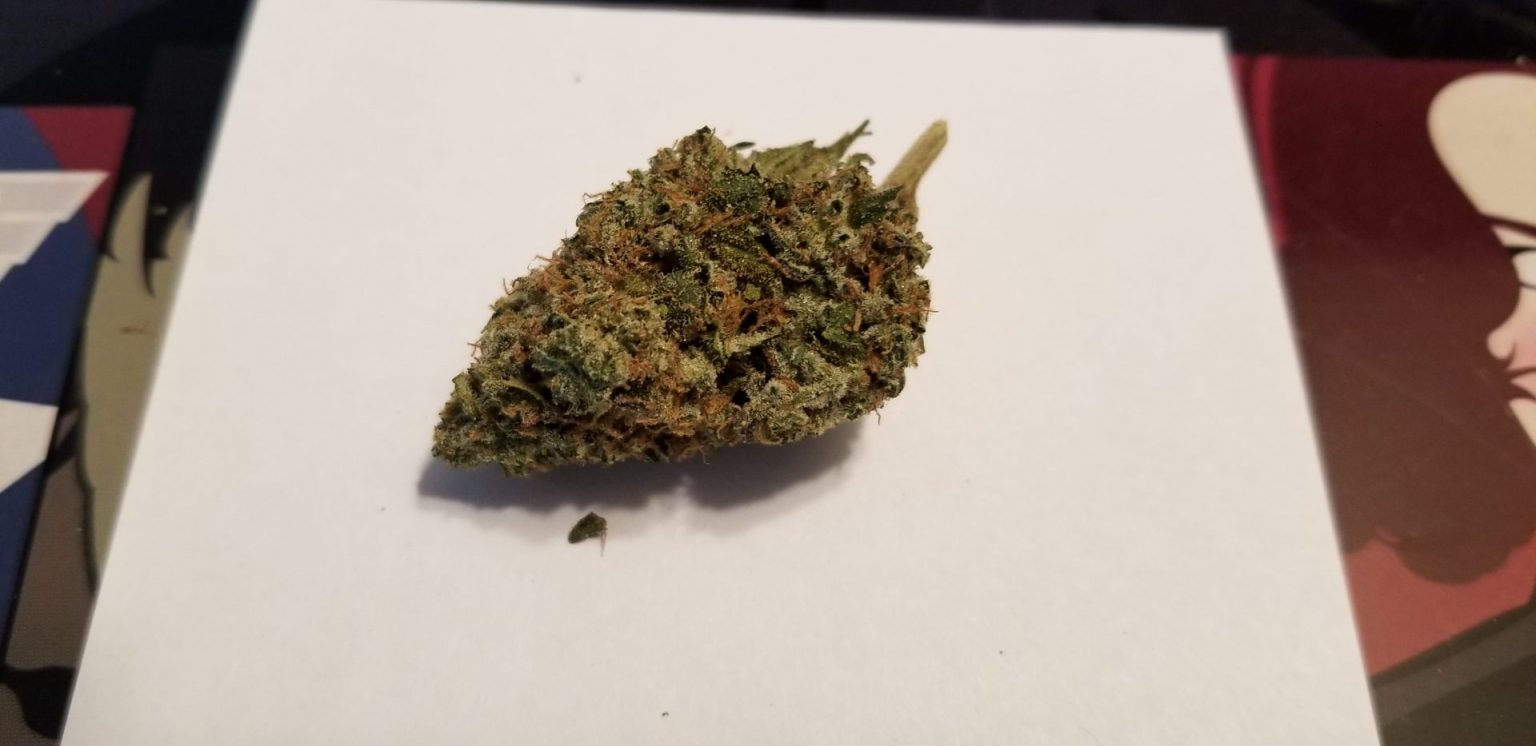 Cuban Linx par Tribal SQDC BuzzNation