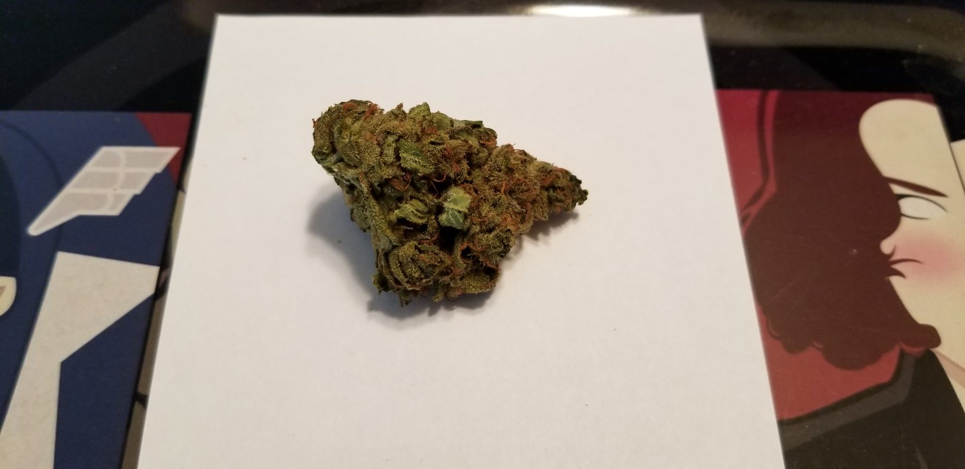 Sugar Bush Bio par The Green Organic Dutchman SQDC BuzzNation