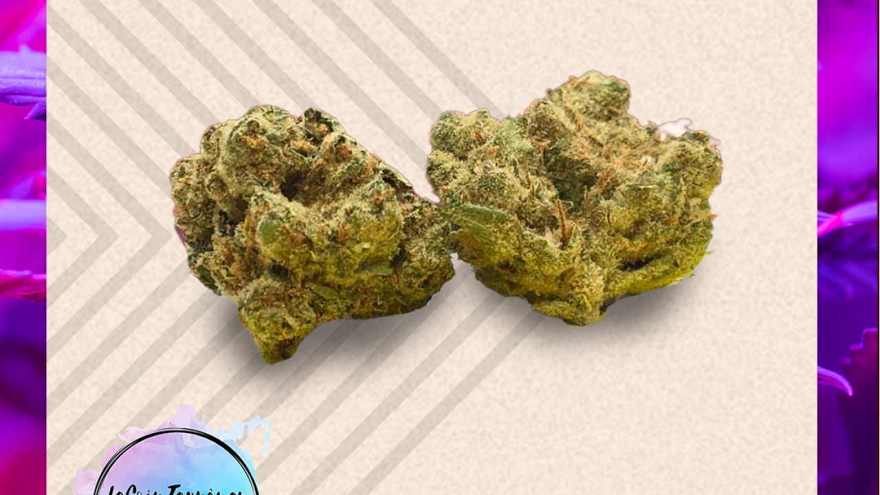 Black Sugar Rose de Color Cannabis - SQDC - BuzzNation