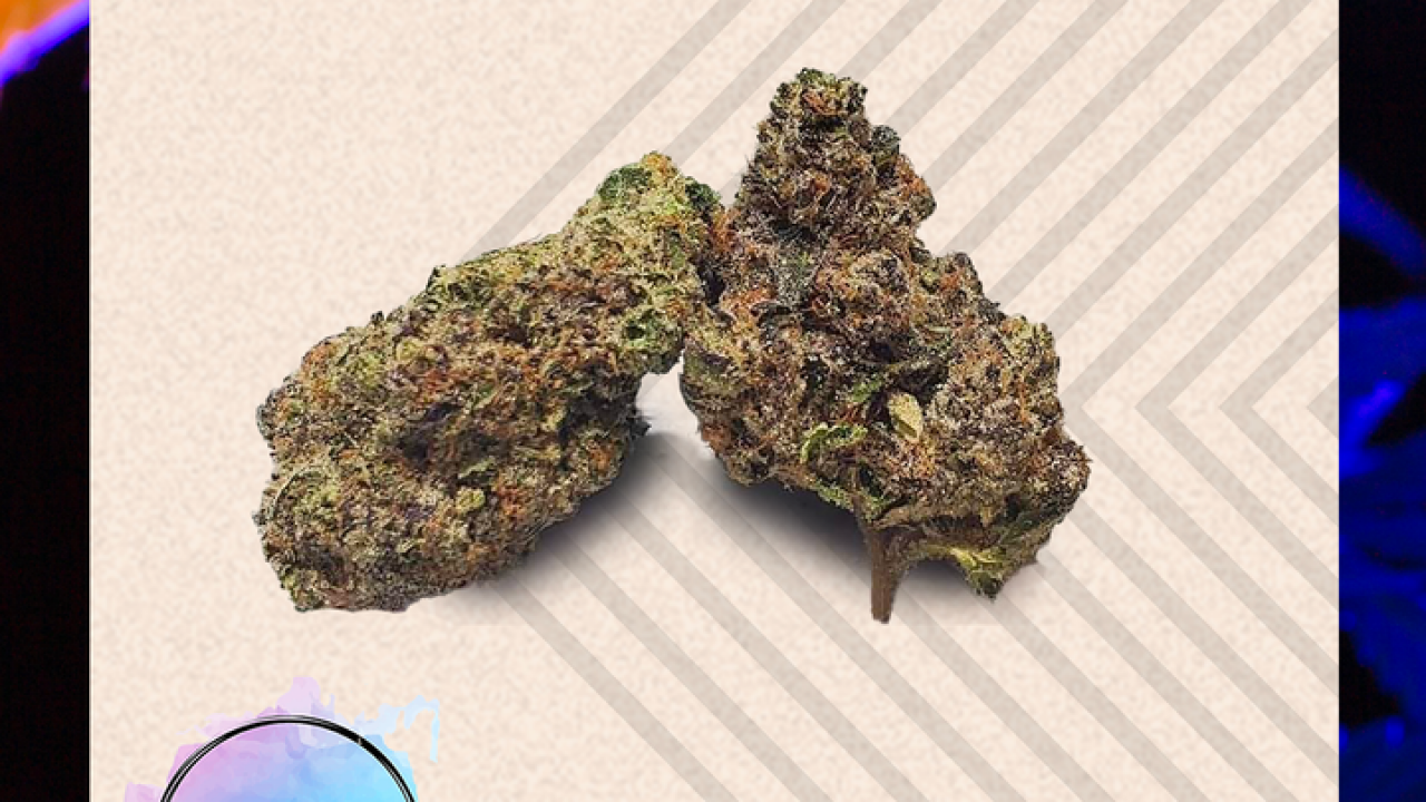 Gelato 33 de Lot 420 -SQDC - BuzzNation