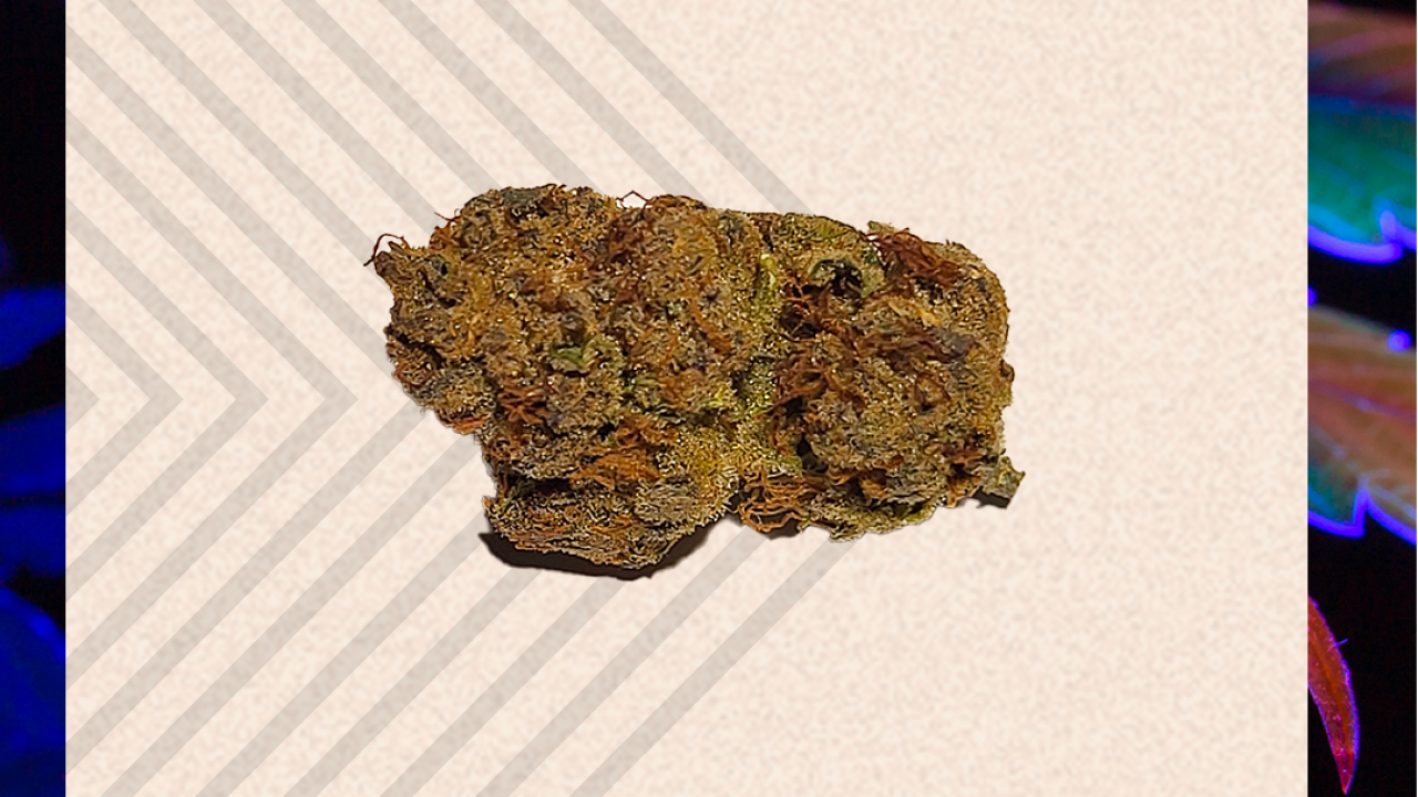 Super Lemon Dragon par Grass Monkeys - BuzzNation